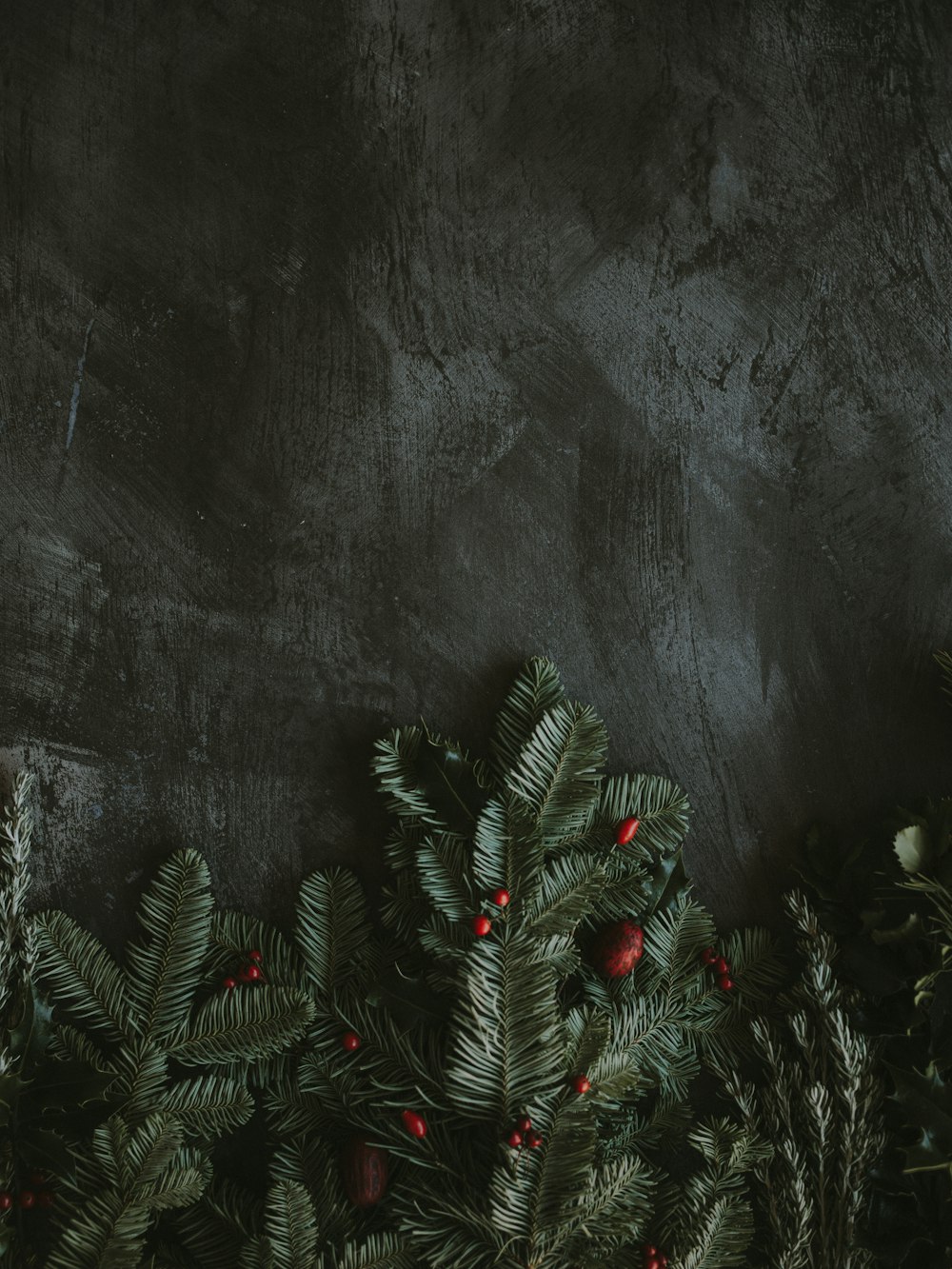 Dark Christmas Pictures | Download Free Images on Unsplash