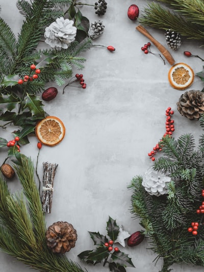 Light festive Christmas foliage flatlay with room for text