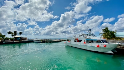 A turquoise boat docked near a white sandy beach with palm trees swaying in the breeze.