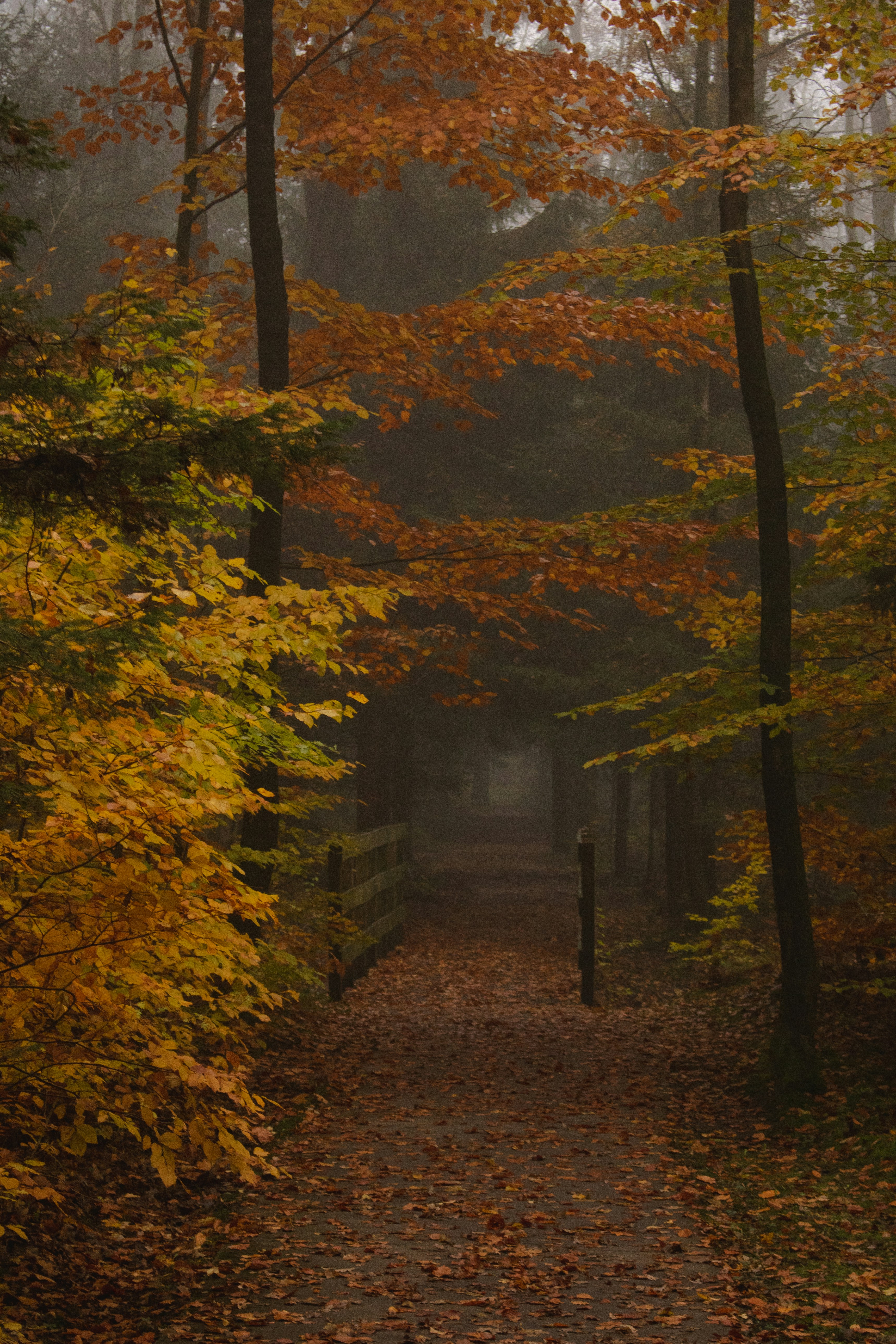 Photo by barthoekstra