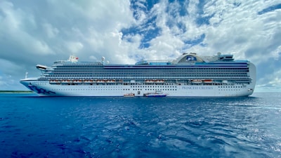 princess cruise ship under cloudy sky