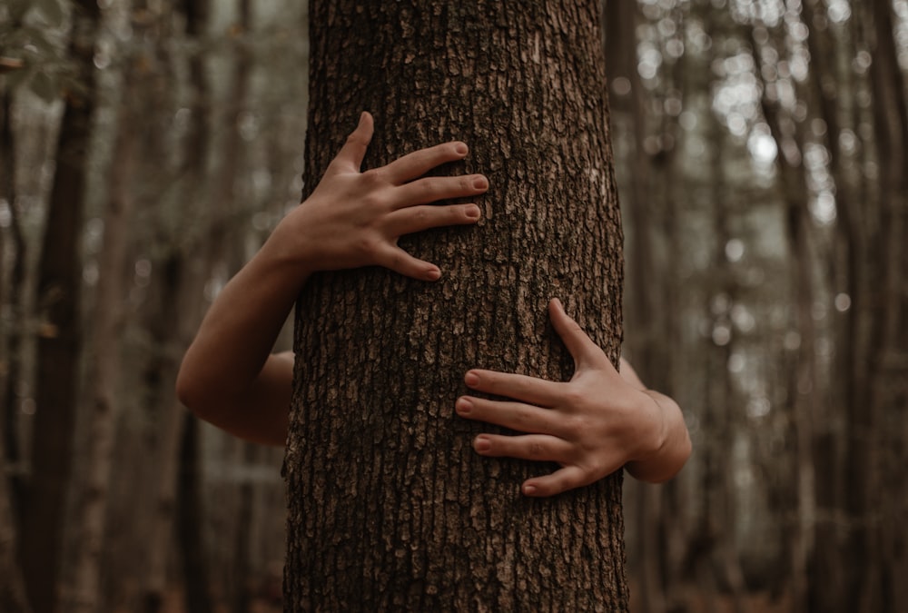 person hugging tree