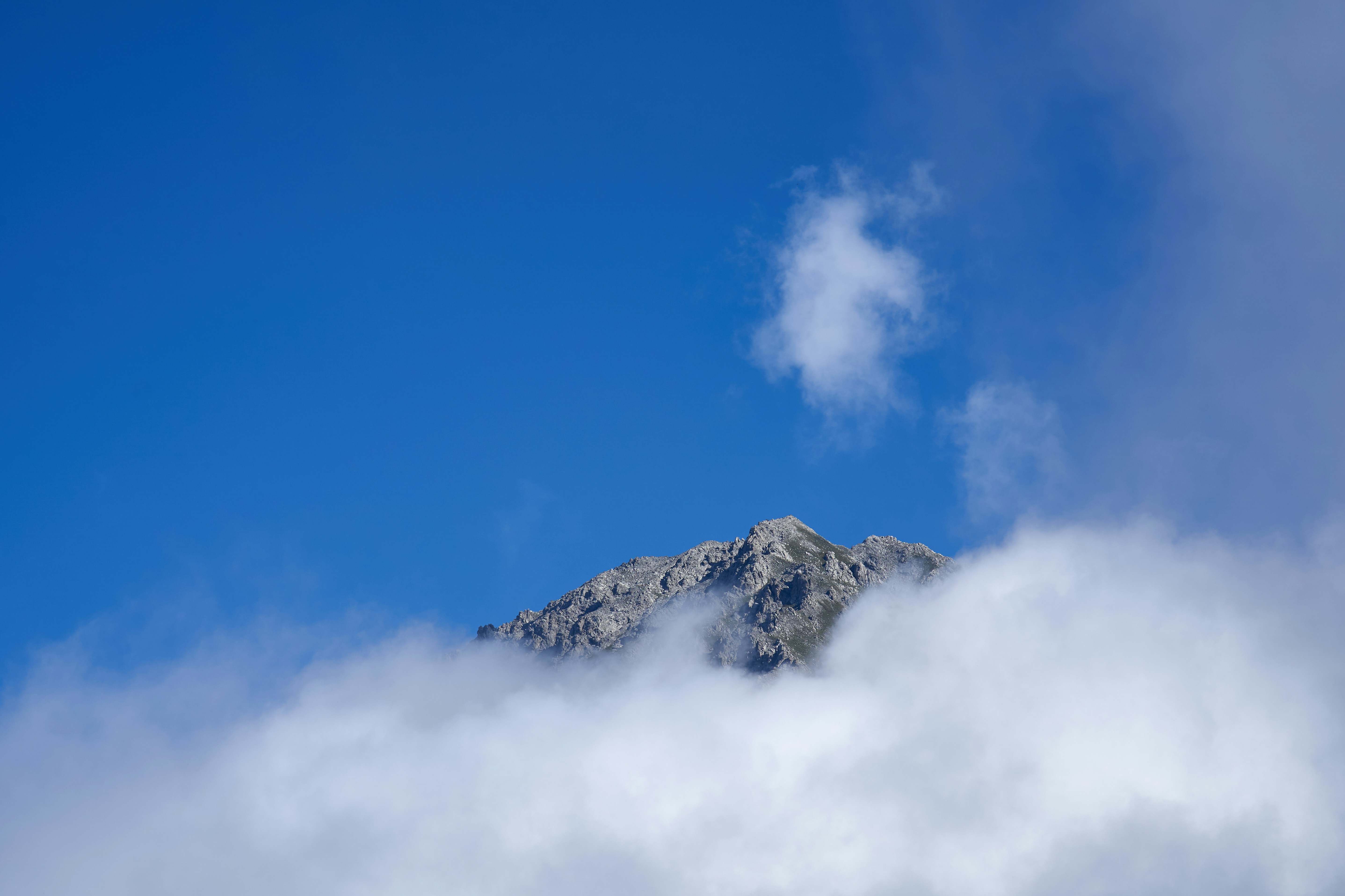 Photo by wolfgang_hasselmann