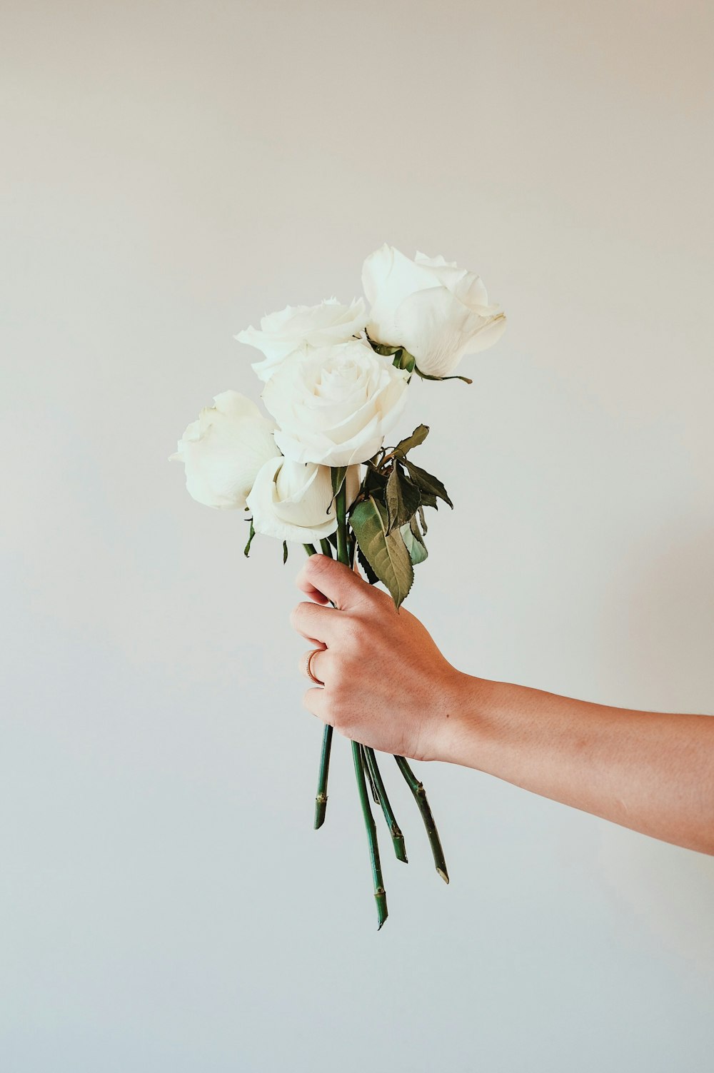 white roses