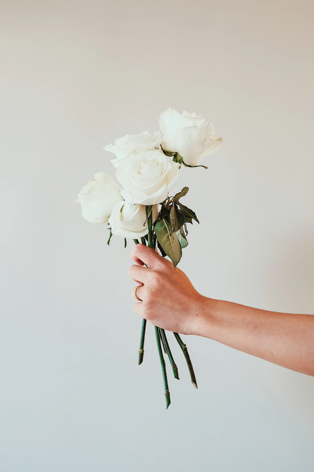 Mazzo di rose bianche tenuto in mano