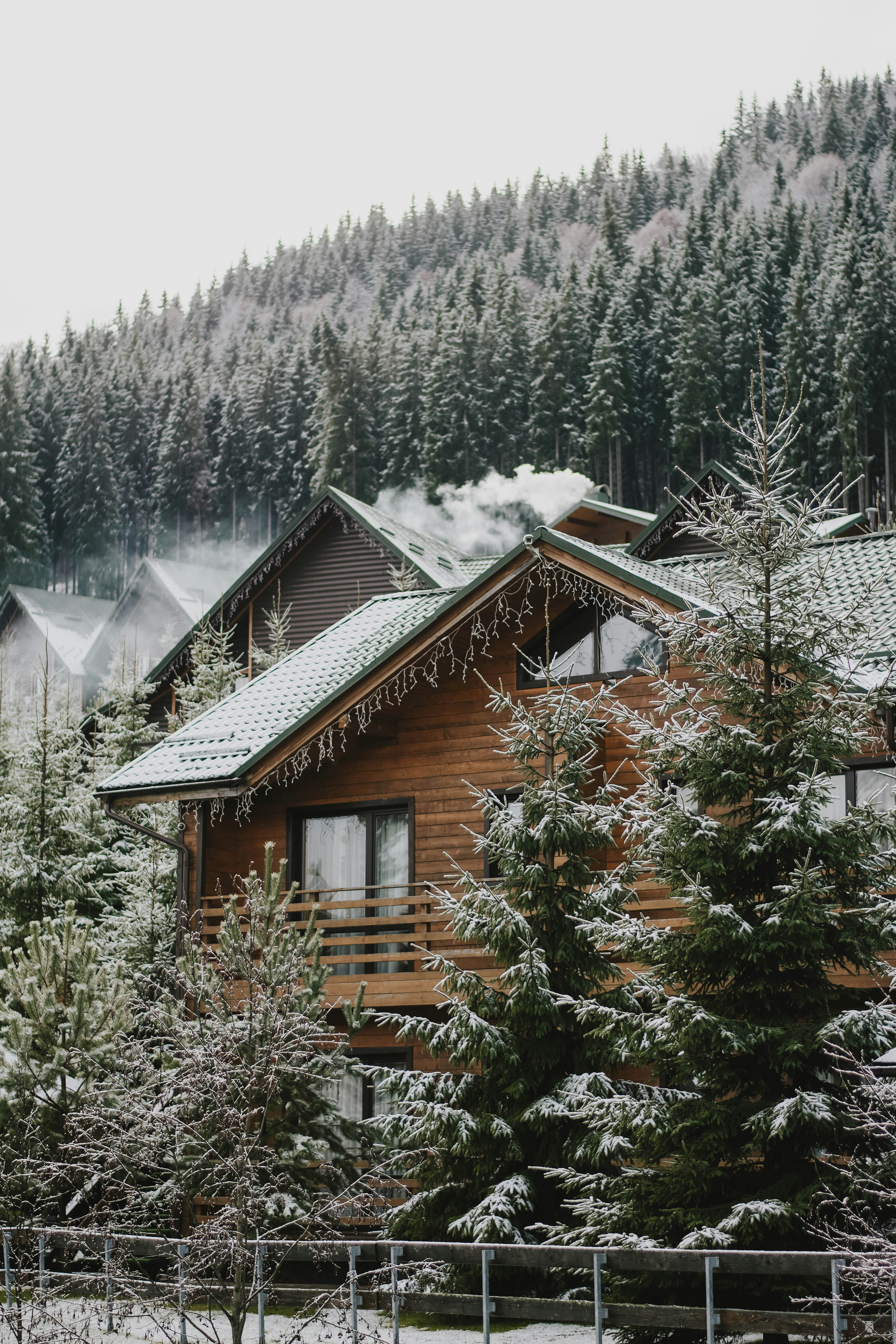 Houses in the Carpathians