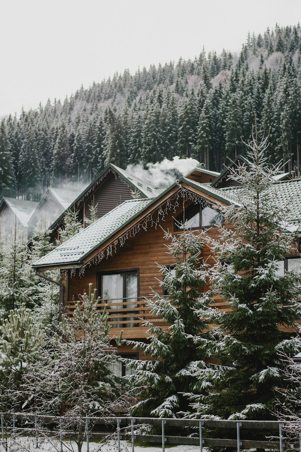 Cabane en bois marron