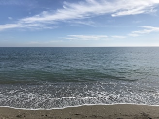 A scenic view of a calm beach with gentle waves and a clear sky