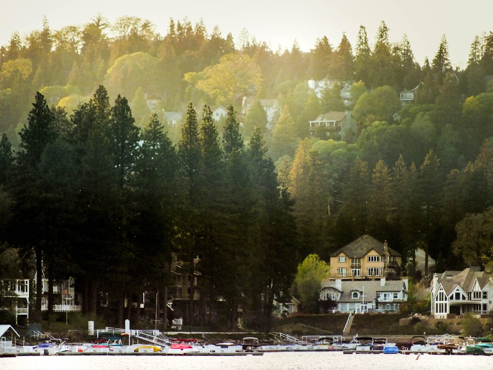 boats on shore