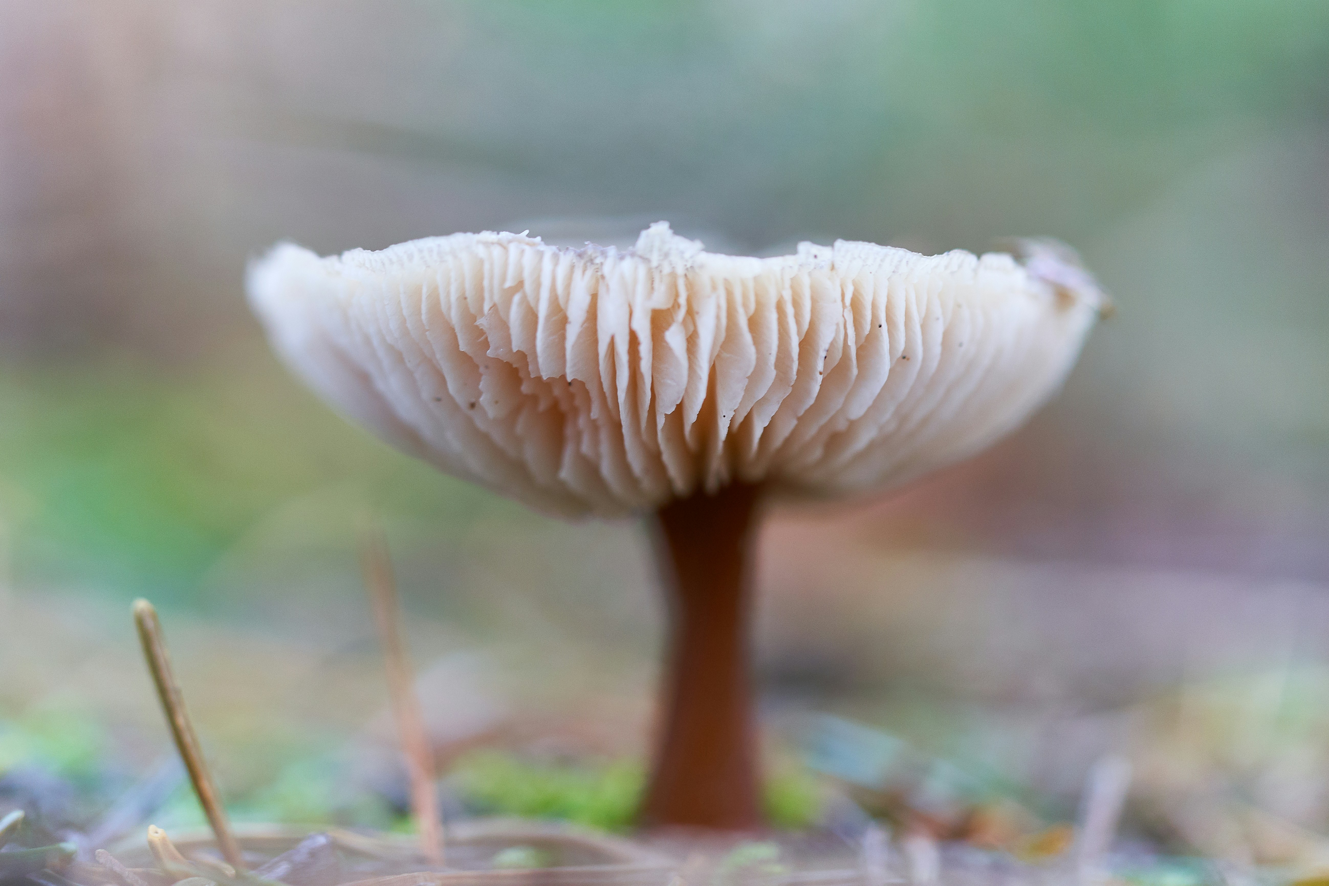 Photo by ingodoerrie