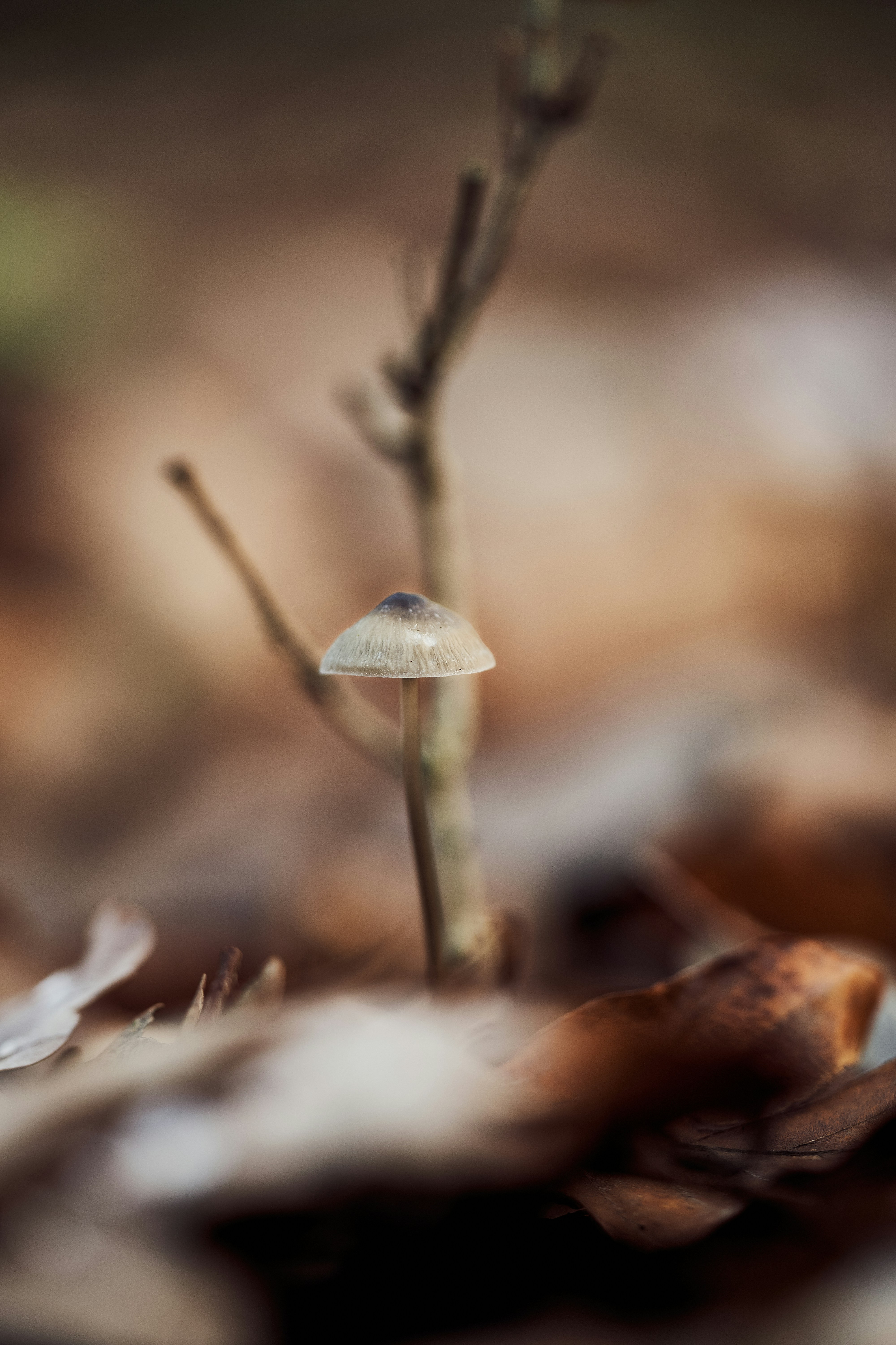 Photo by ingodoerrie