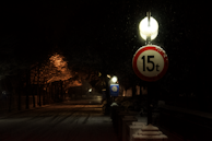 A dimly lit street at night with light snow falling. The road is lined with trees and illuminated by street lamps. A road sign indicating a weight limit of 15 tons is prominently visible under one of the lamps.