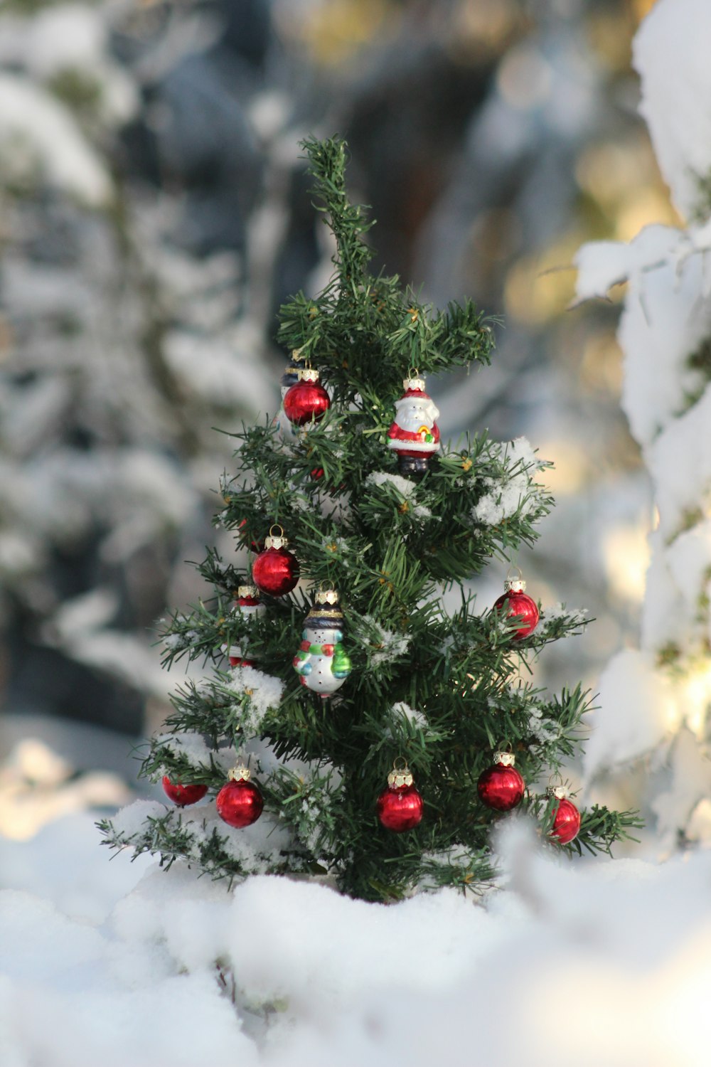 sapin de Noël vert