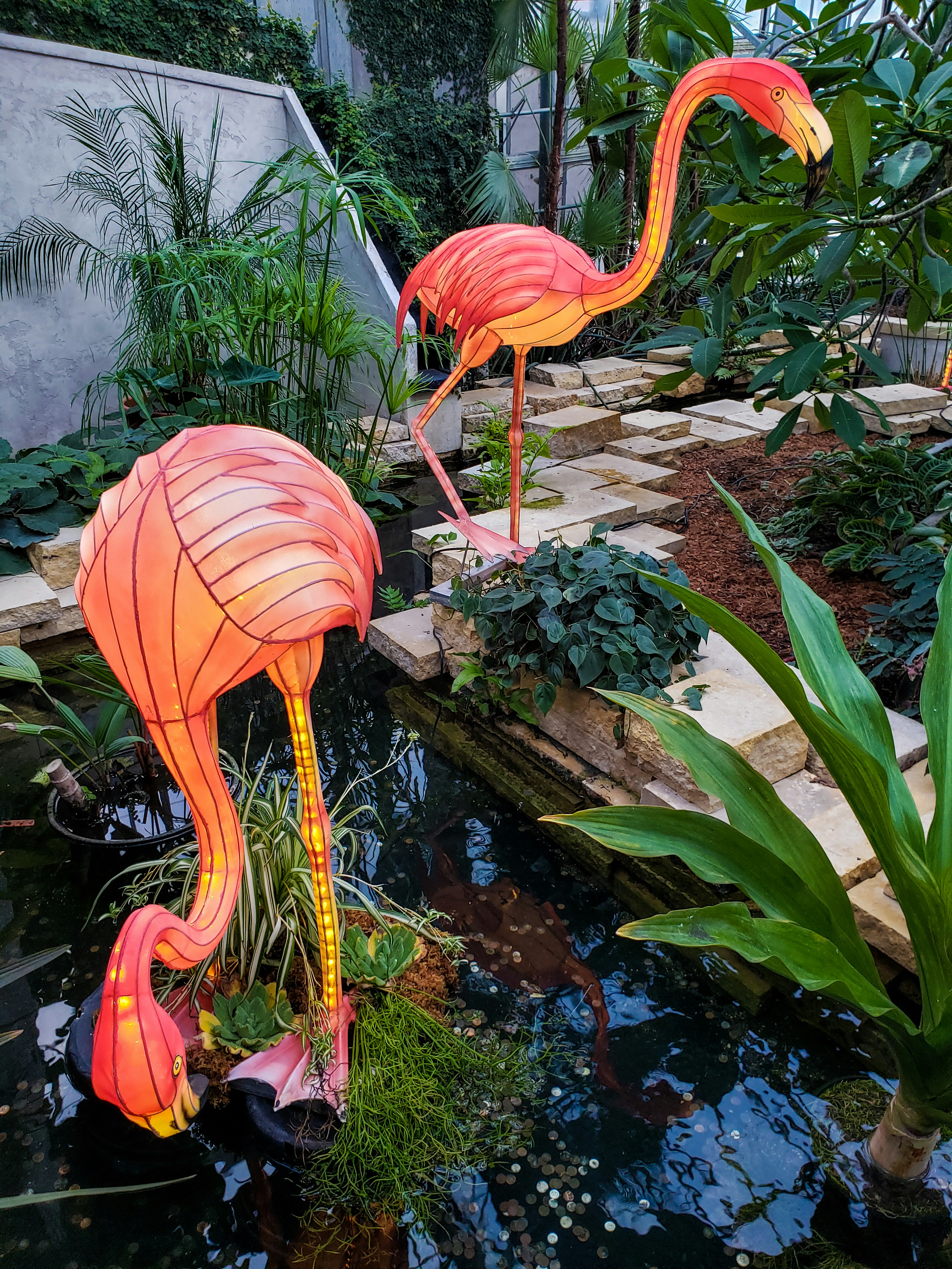 Free Lauritzen Gardens Image On Unsplash