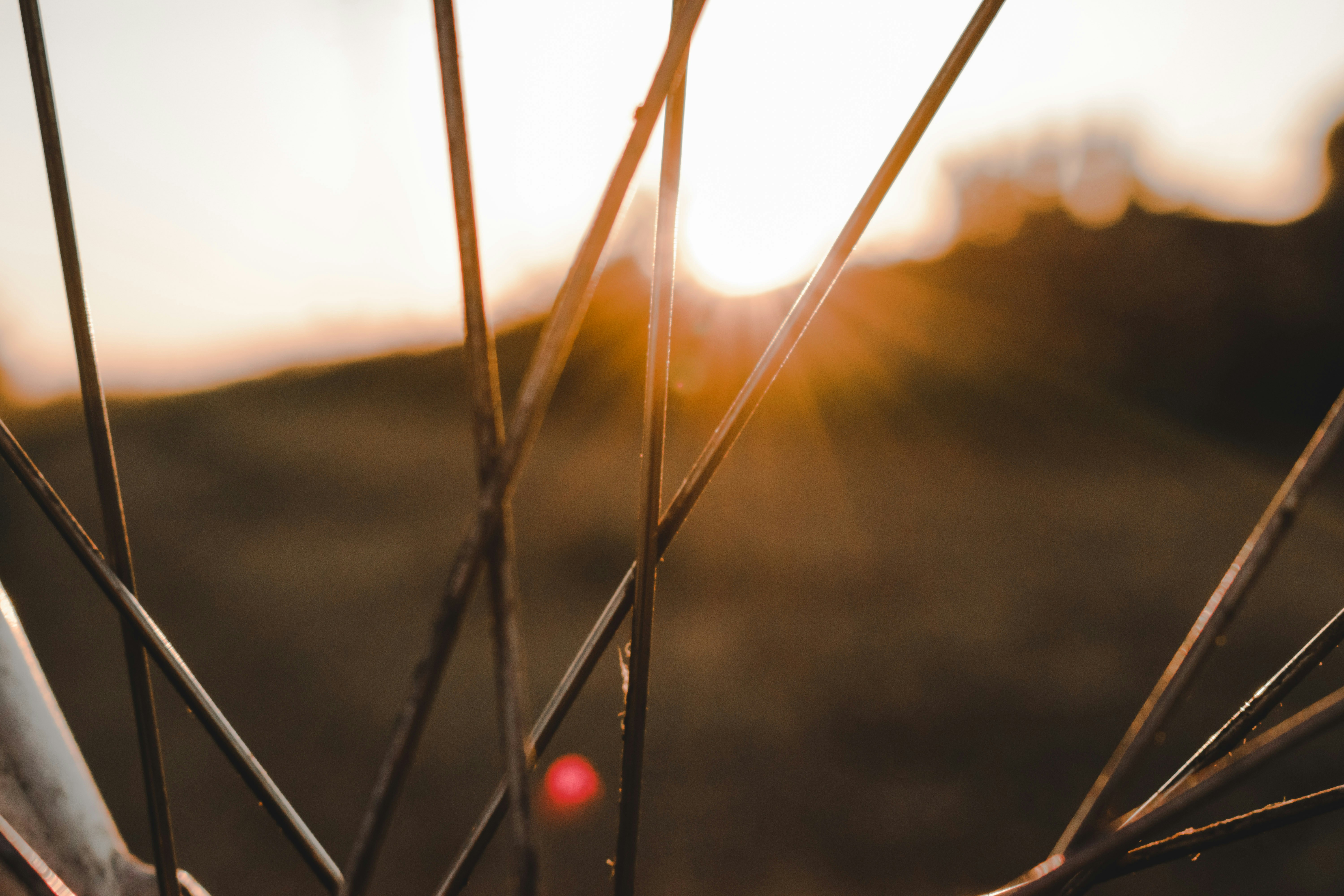 Photo by bilal_ayadi