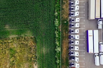 parked vehicles on parking lot near plant field