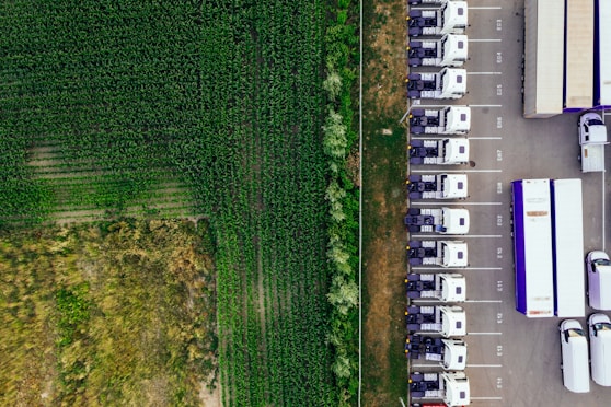 parked vehicles on parking lot near plant field