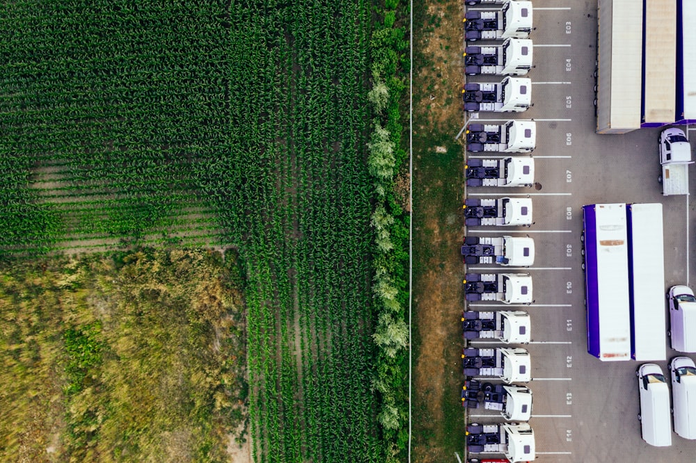 parked vehicles on parking lot near plant field