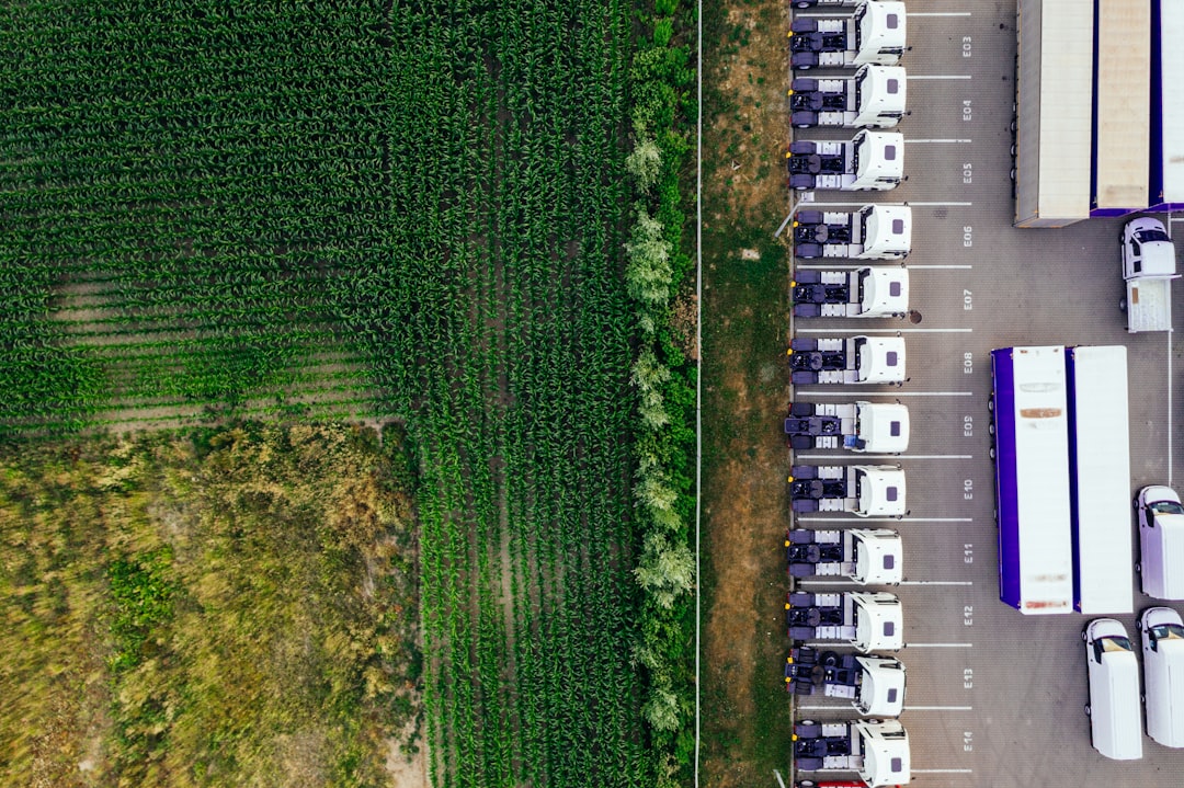 parked vehicles on parking lot near plant field