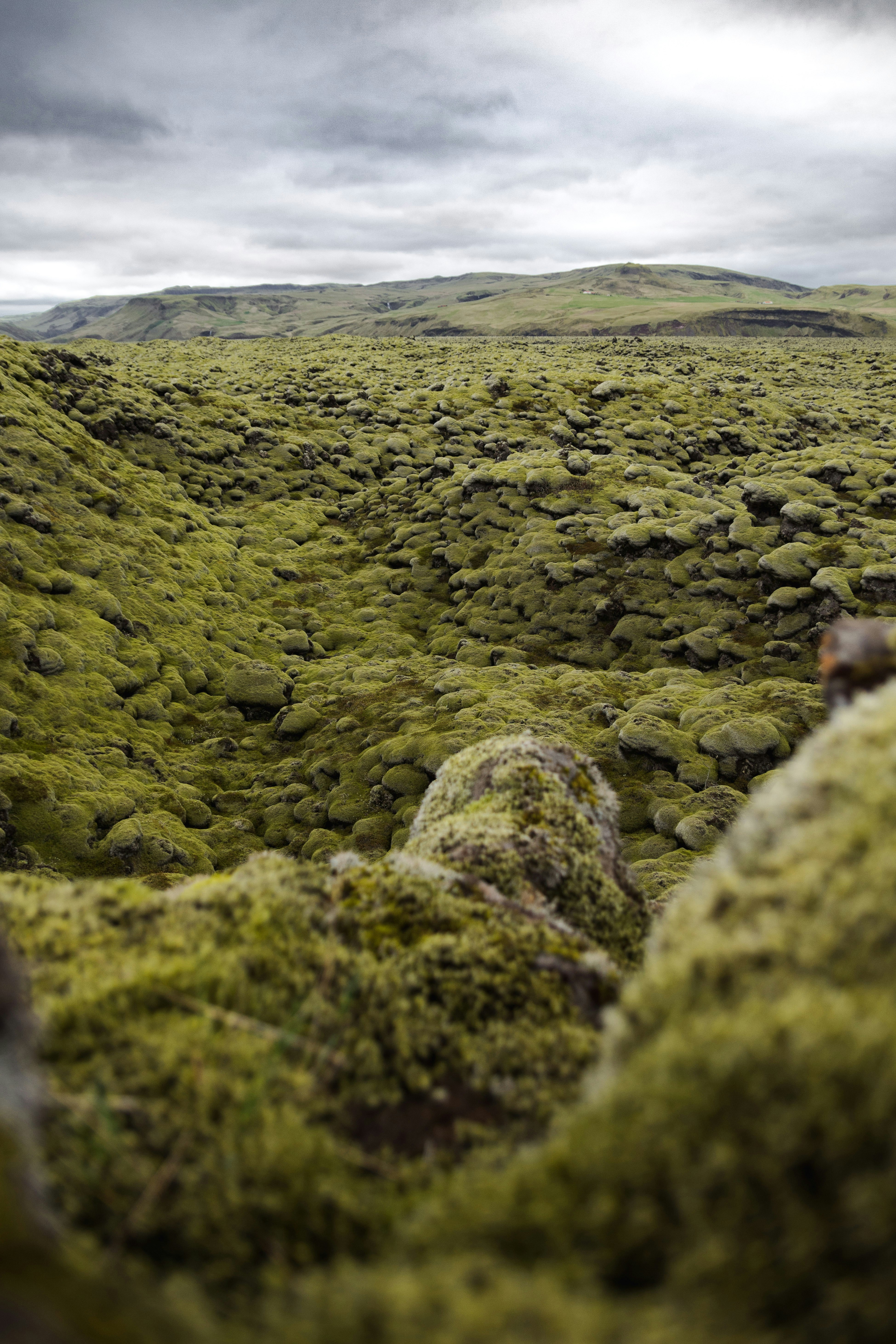 photography of mountain range during daytime