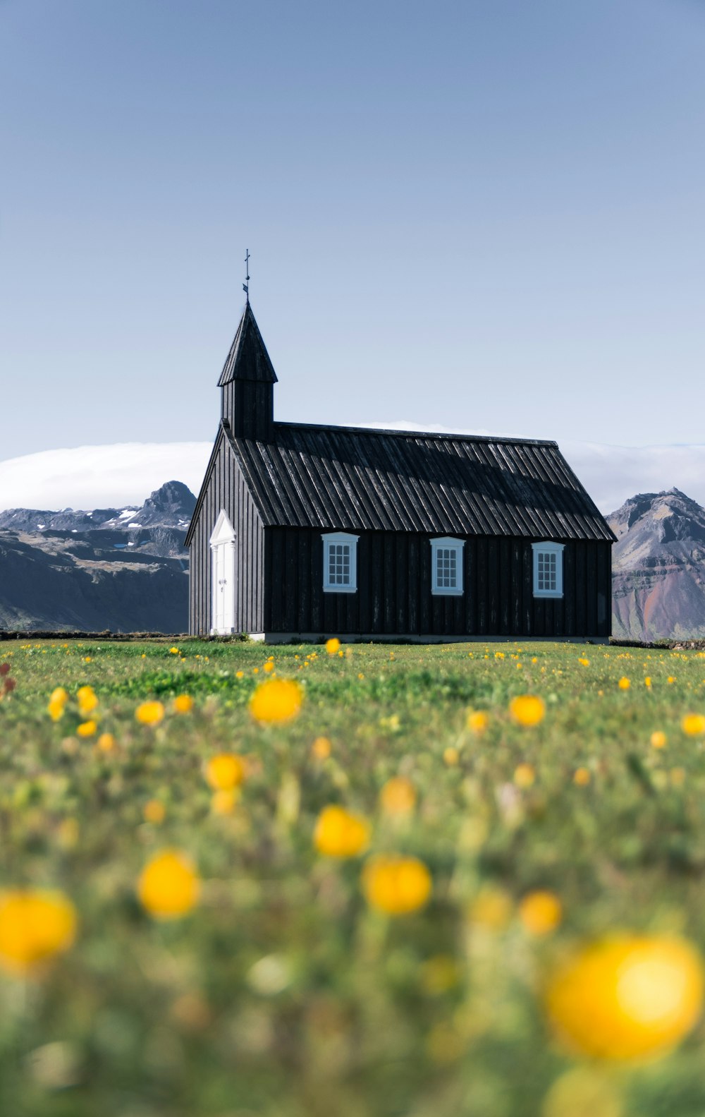 black house on green field