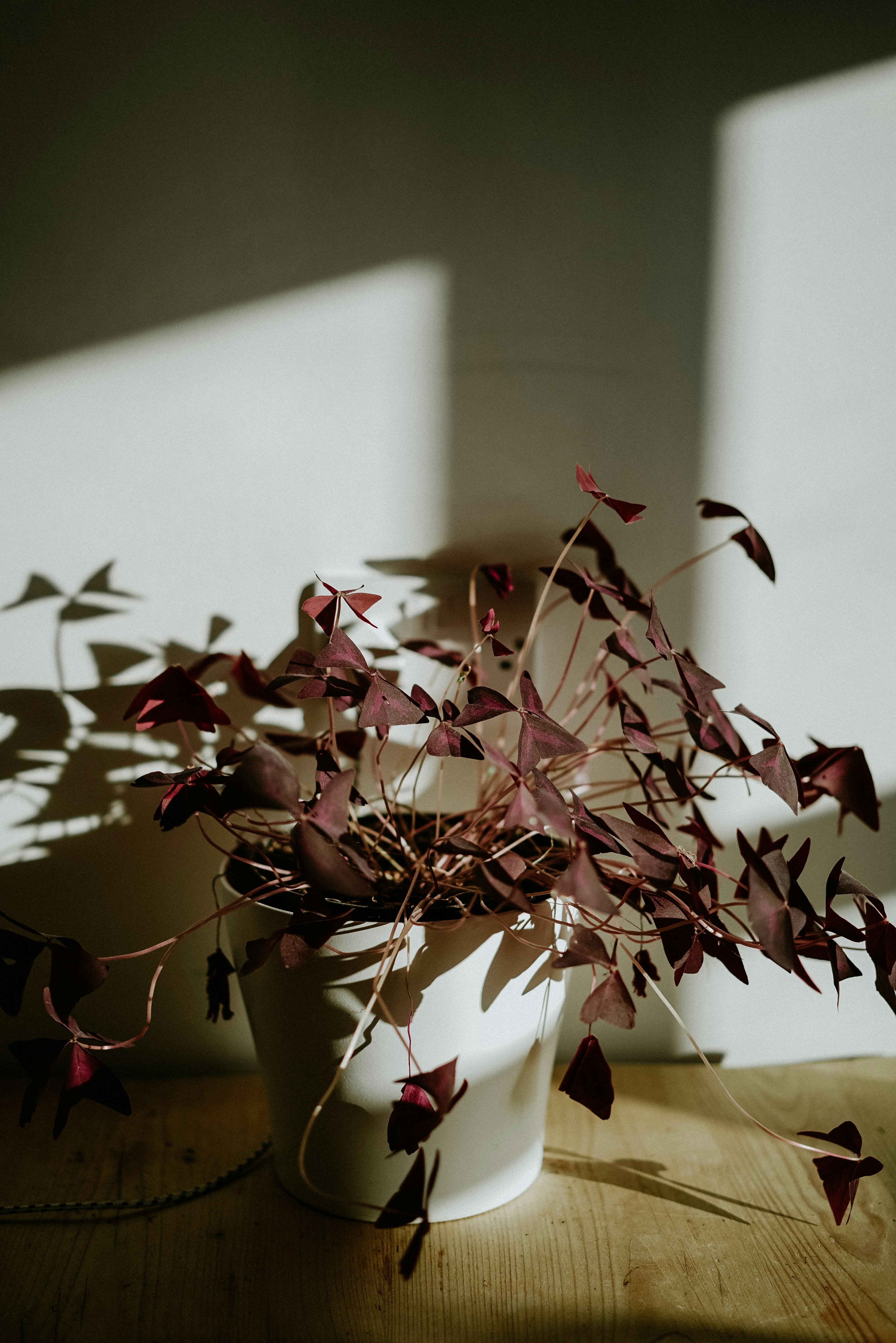 Photo by philhearing