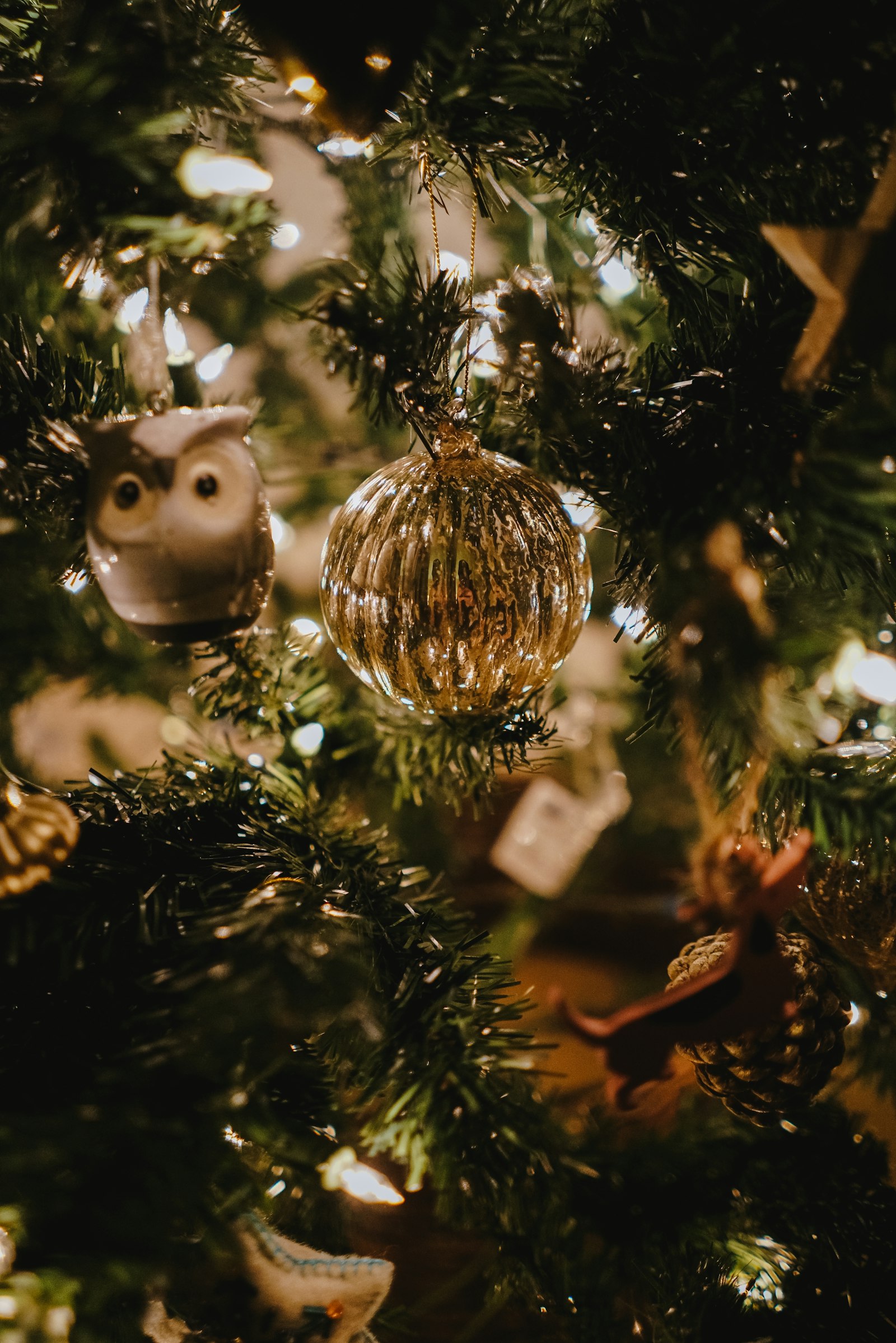Sony a7R II + Sony FE 28mm F2 sample photo. Gold bauble photography