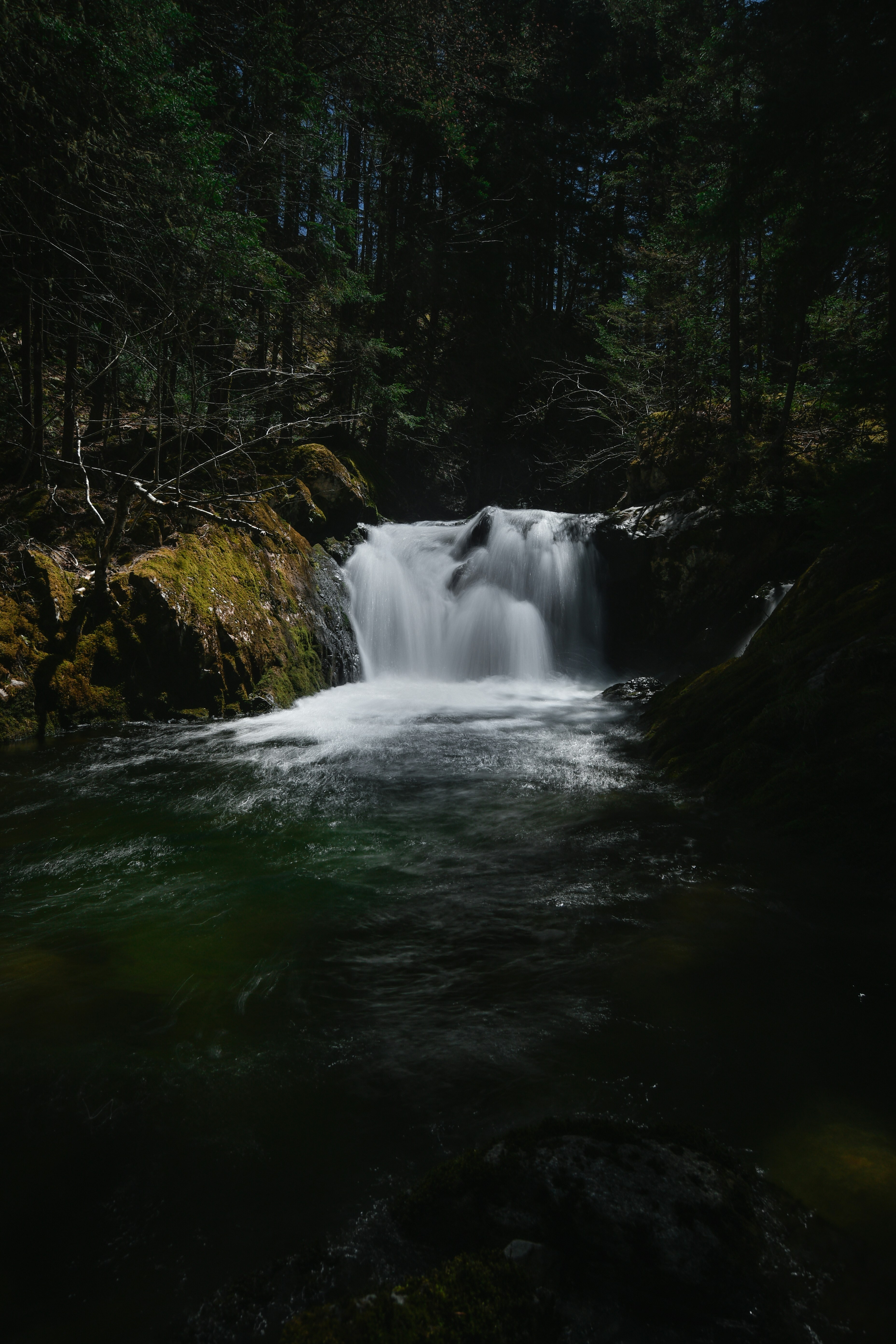 Photo by nickanthony