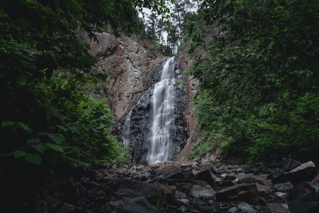 waterfall in forest