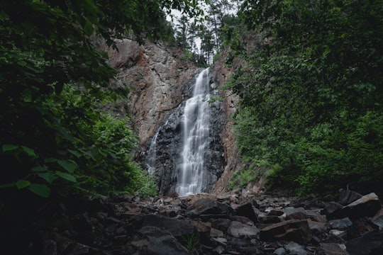 waterfall in forest in Fredericton Canada