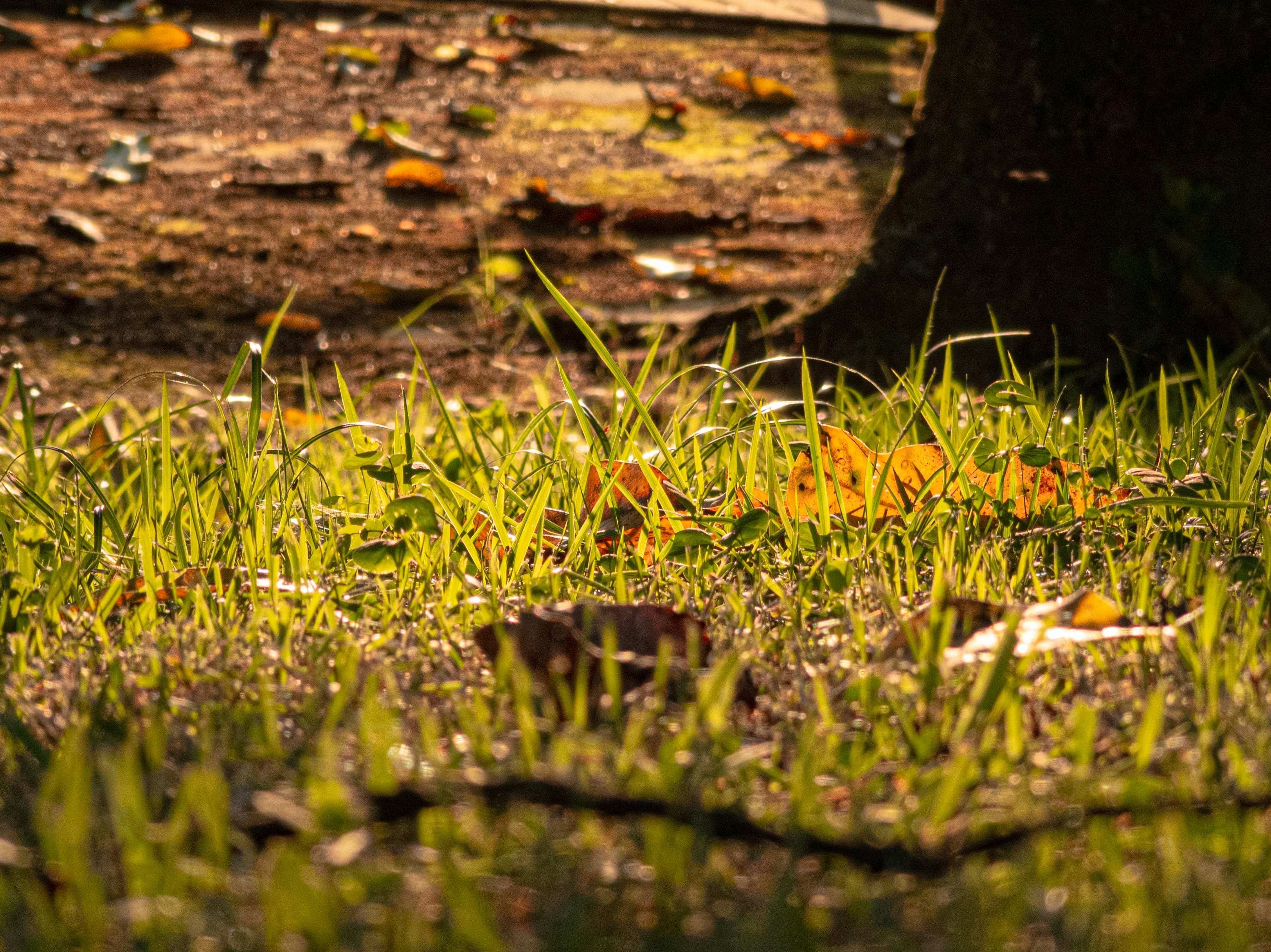 Photo by vitor_camilo