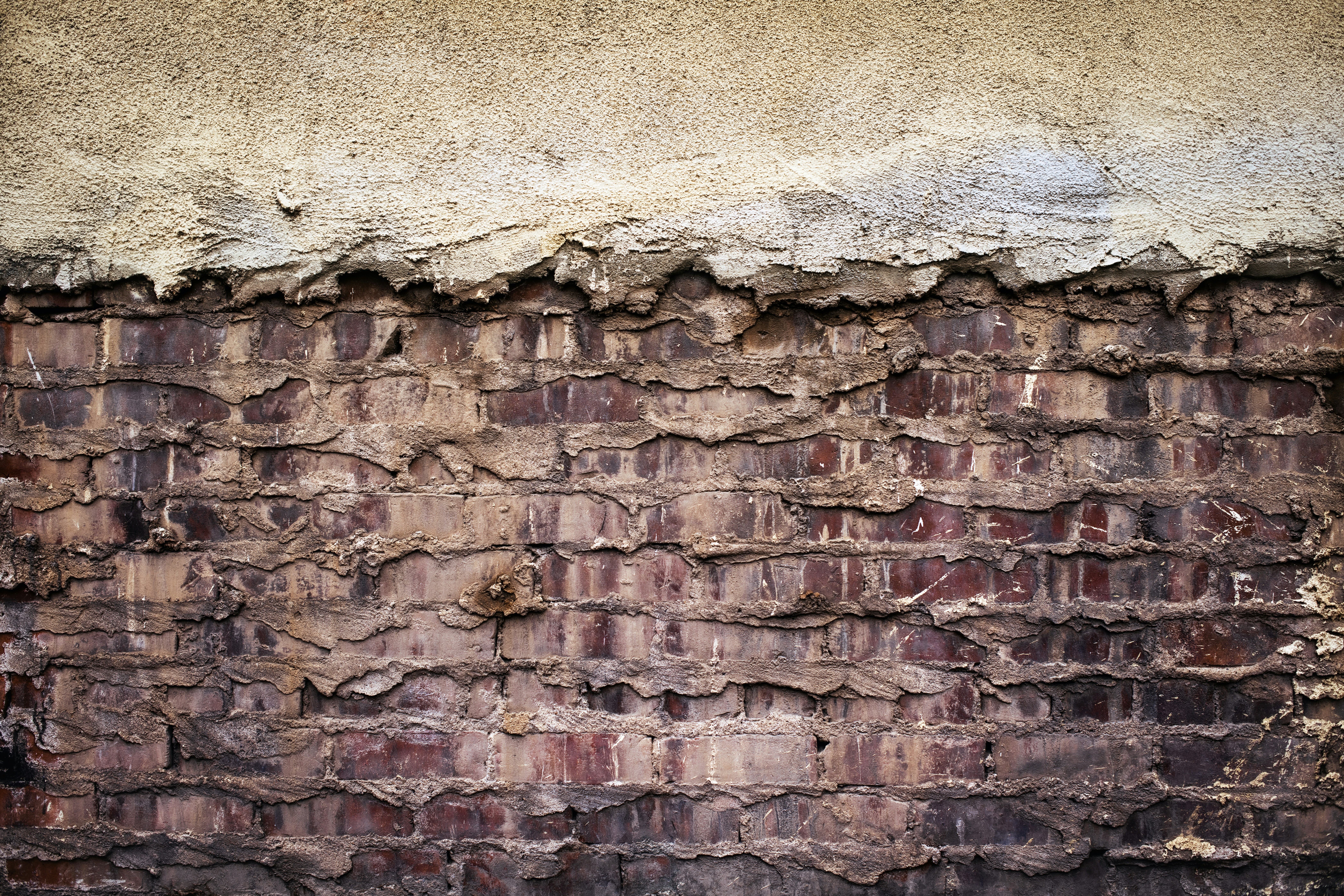 Photo by timmossholder