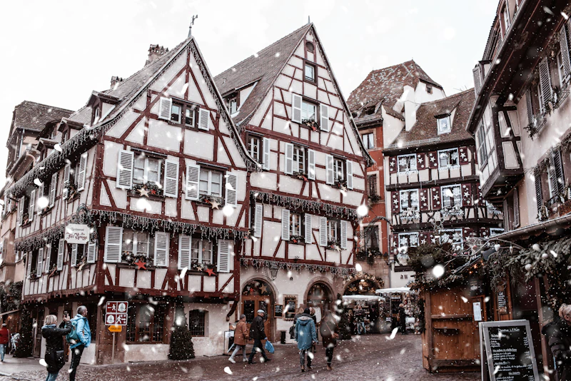 Best Pet-Friendly Cafes in Colmar Where Your Dog Is as Welcome as You