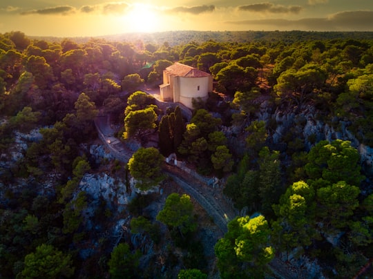 Occitanie things to do in Saint-Georges-de-Lévéjac