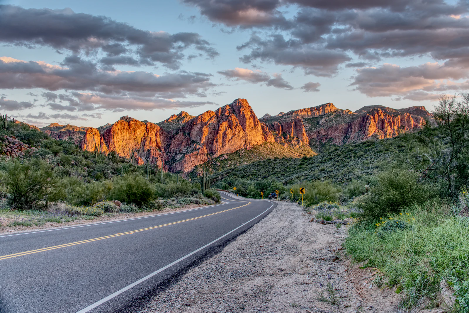 Institutional Lease-Up in Mesa — MoveSmart Rentals