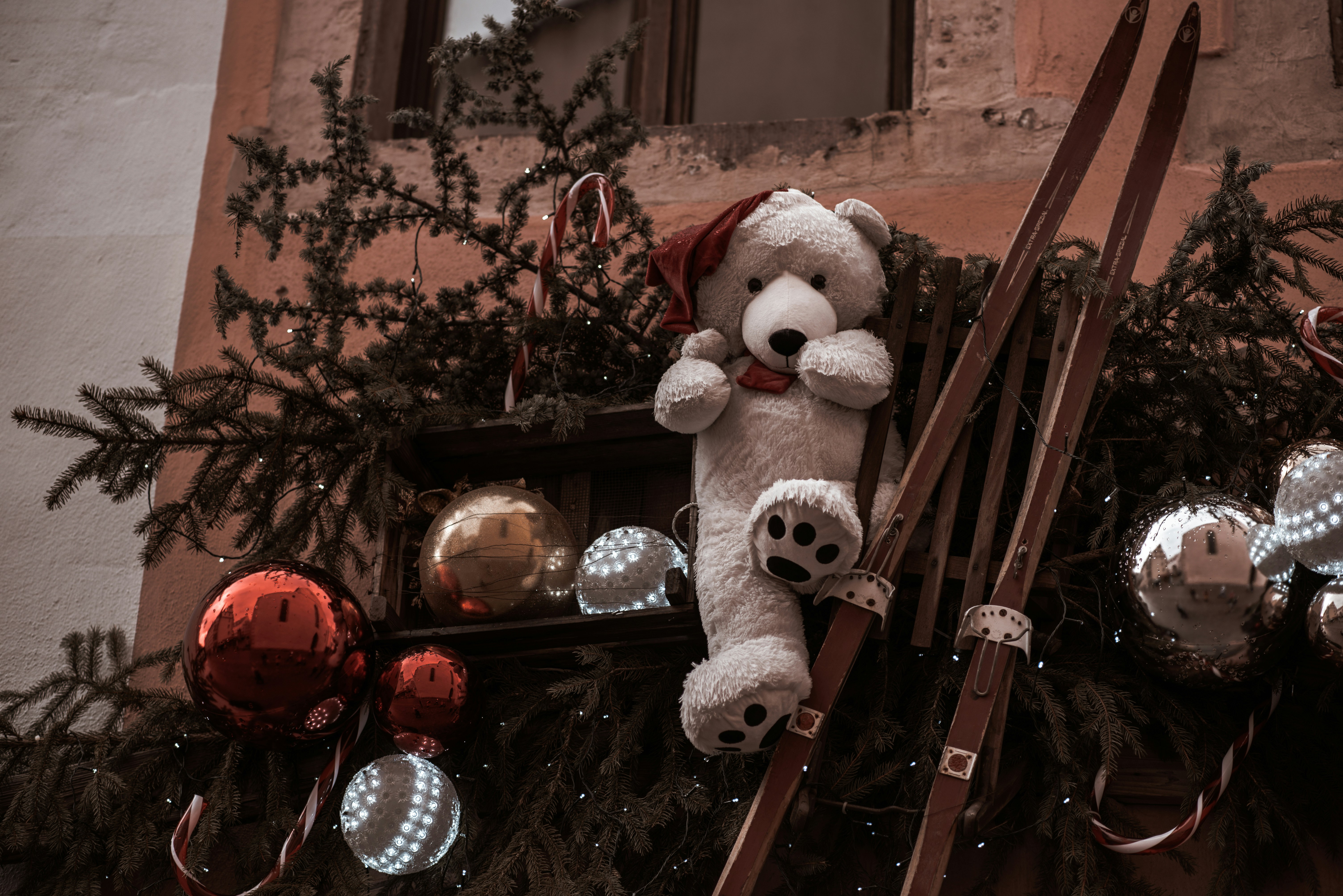 white teddy bear