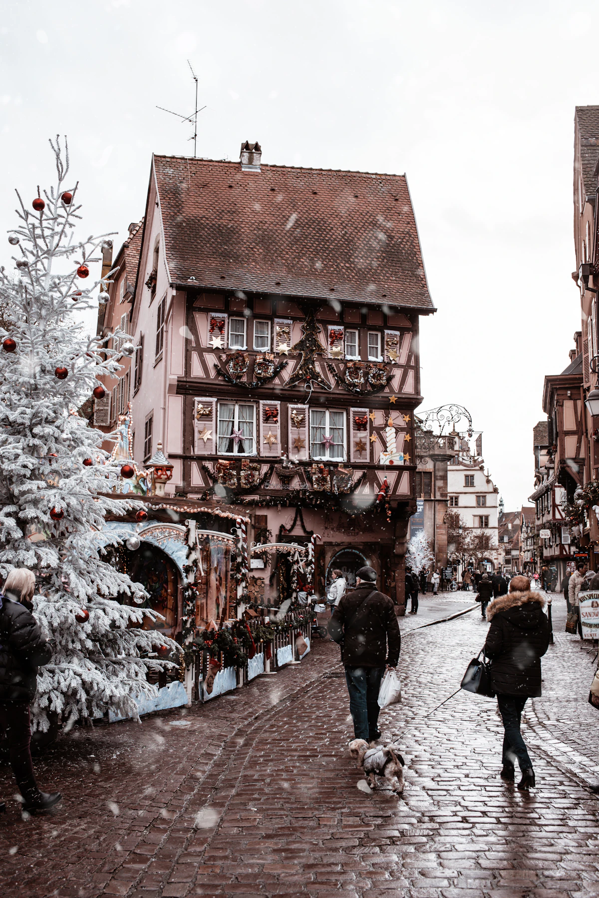 Pink half-timbered house and snow-dusted trees on a narrow old-town street