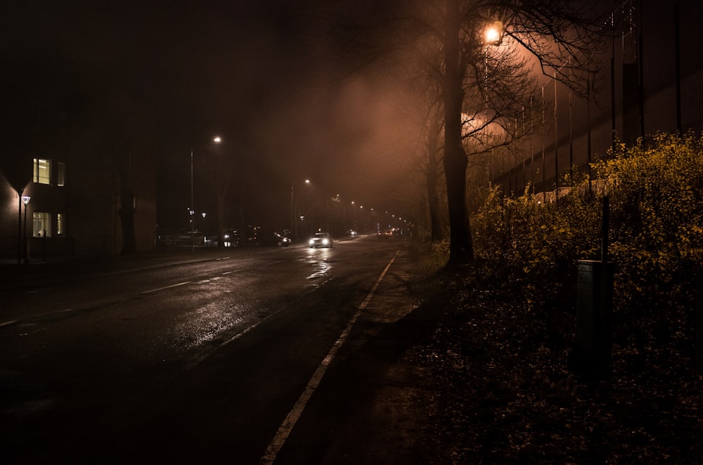 car on road during night