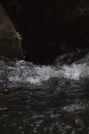 Rippling water creates a sense of movement and vitality against a dark, natural backdrop. The water appears to be flowing over rocks, creating small splashes and bubbles.