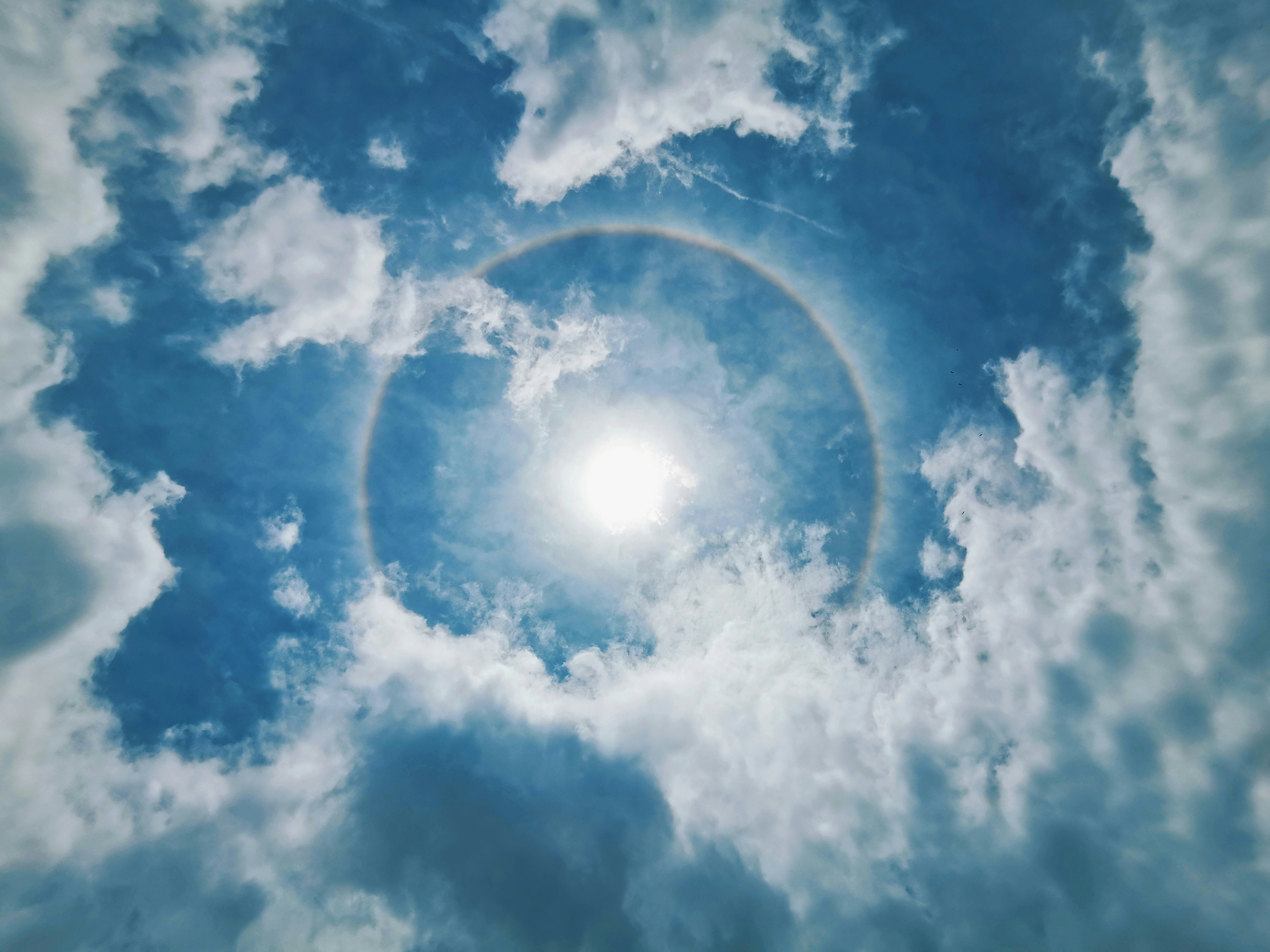 Weather & Traffic: Thursday 18 December: Enigmatic sun plucks up courage for brief appearance