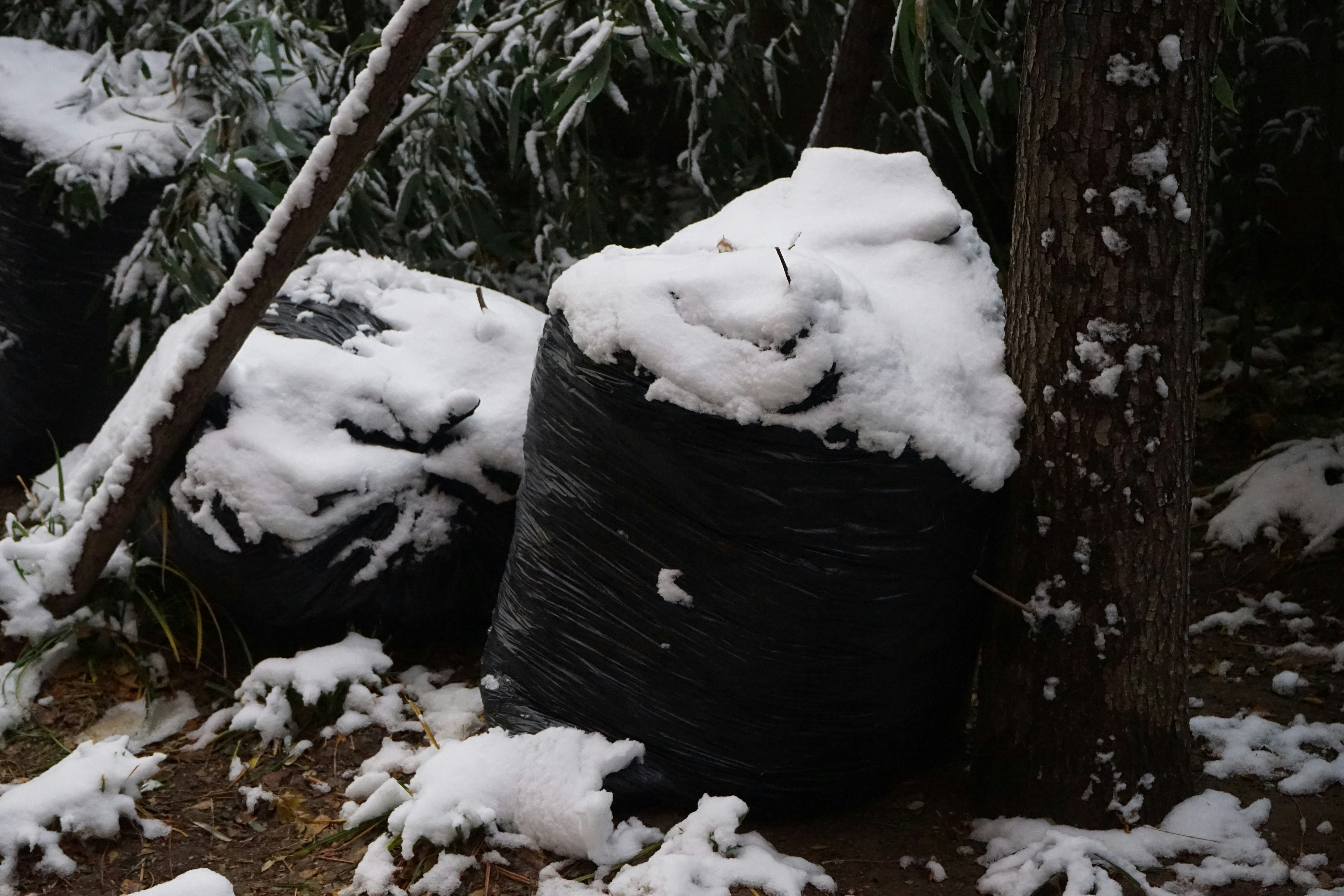 photo 1575161453184 5d90a7be5781?ixlib=rb 4.0