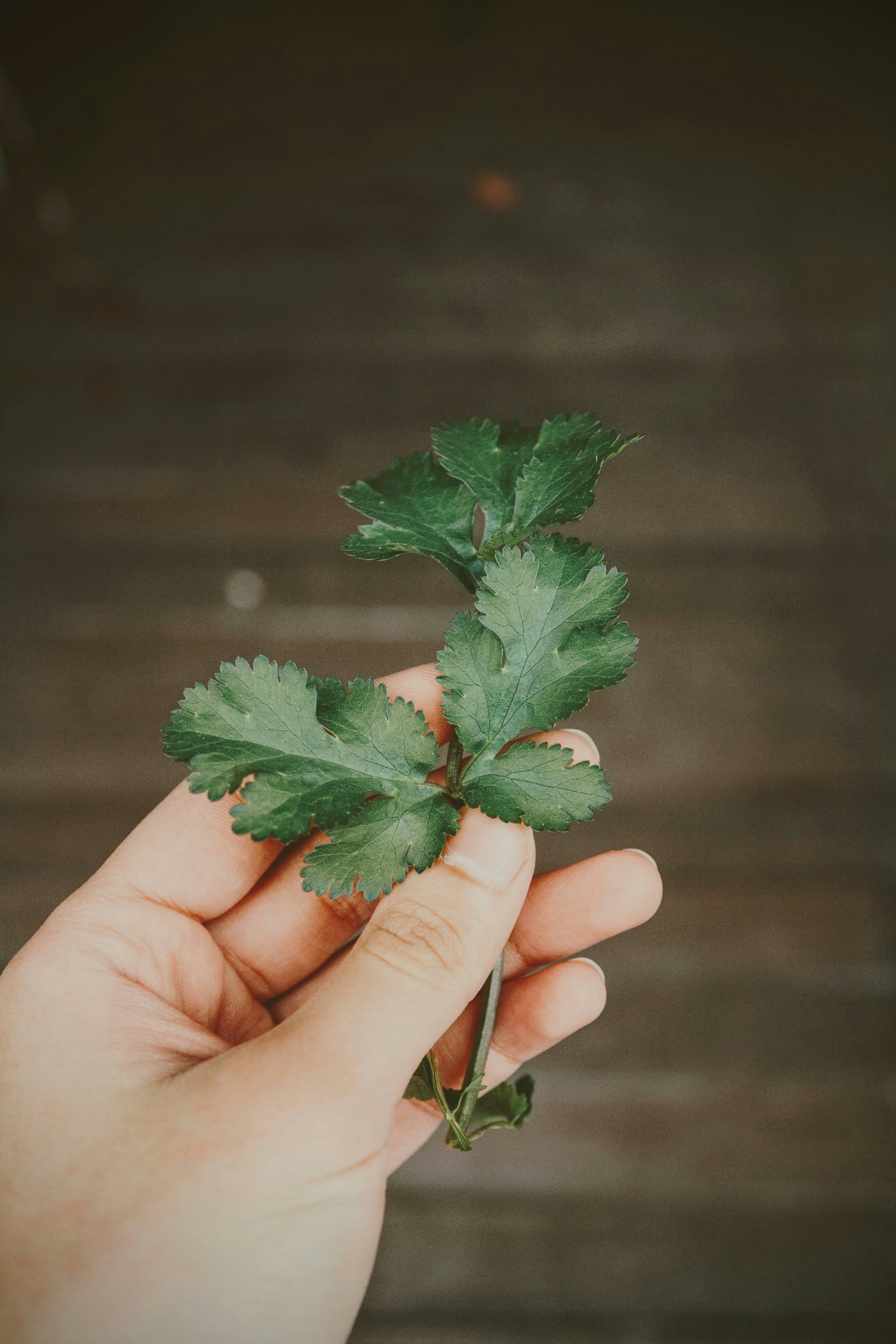 Photo by thelaibaali