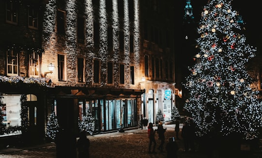 people standing beside Christmas tree in Québec Canada