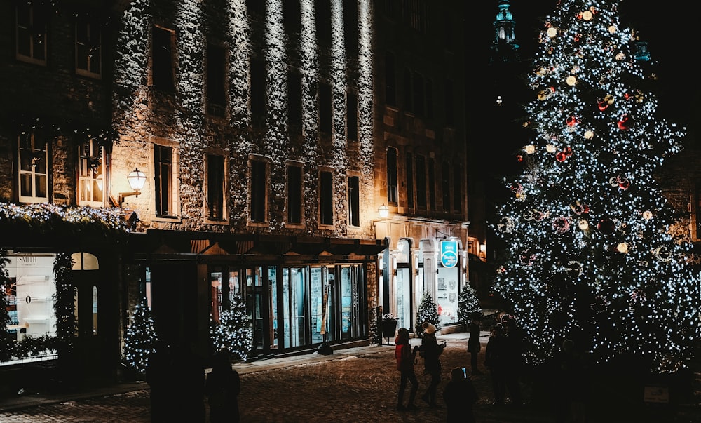 people standing beside Christmas tree