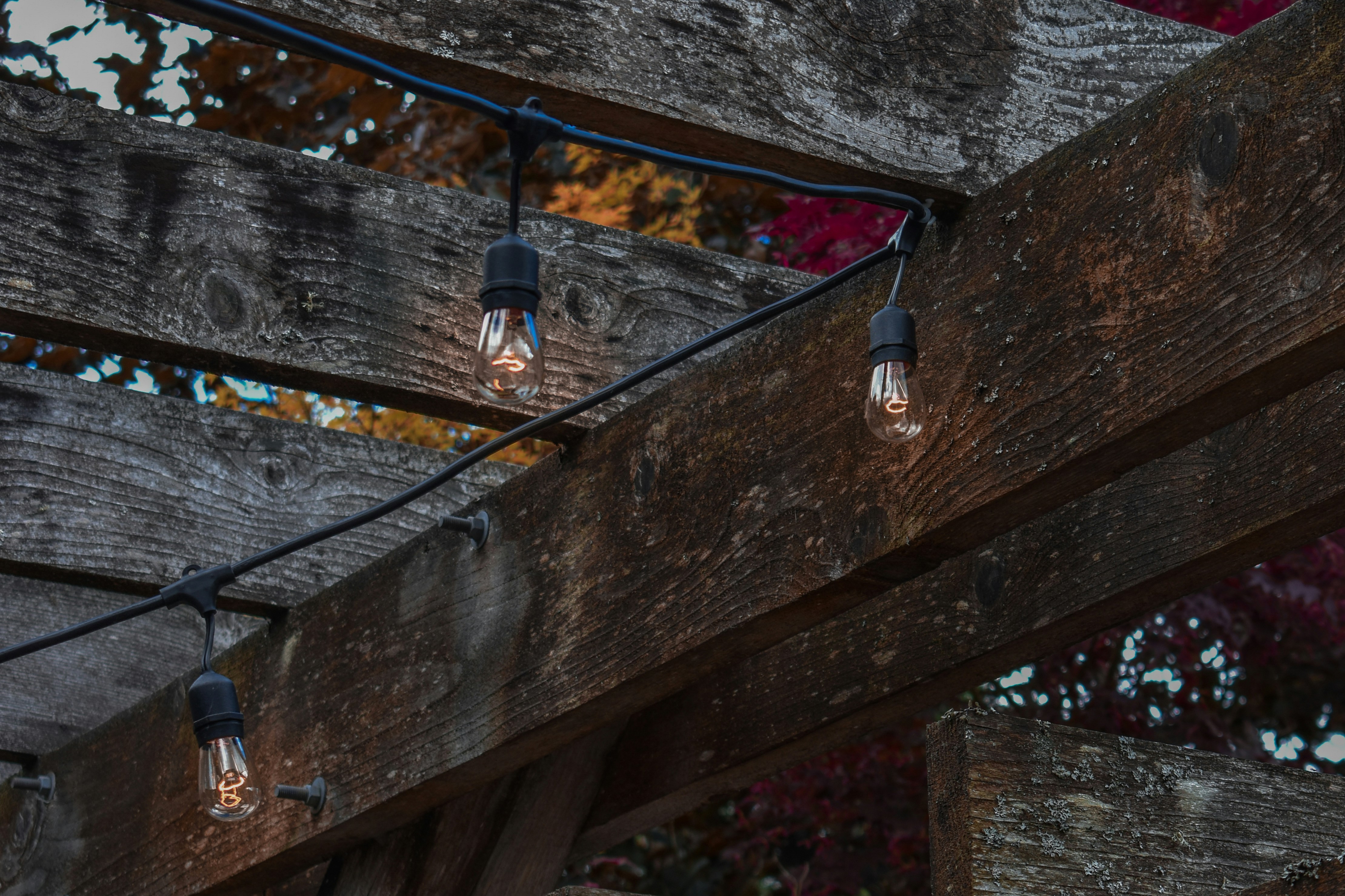 10 Must-Have Solar Path Light Accessories for Summer Nights