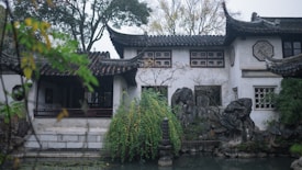 A serene traditional Chinese garden featuring a white building with dark, curved roof tiles, intricate window designs, and surrounded by lush greenery. There's a stone pathway bordering a small pond, where a stone lantern stands near the water's edge, adding to the tranquil atmosphere. Mature trees in the background add a sense of enclosure and privacy.