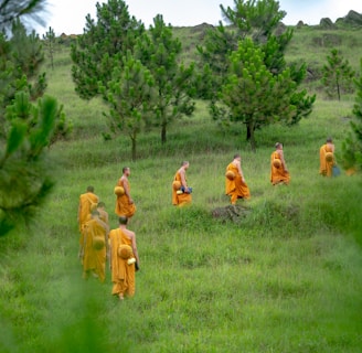 Bouddhisme, méditation, bouddha, dhamma, moines