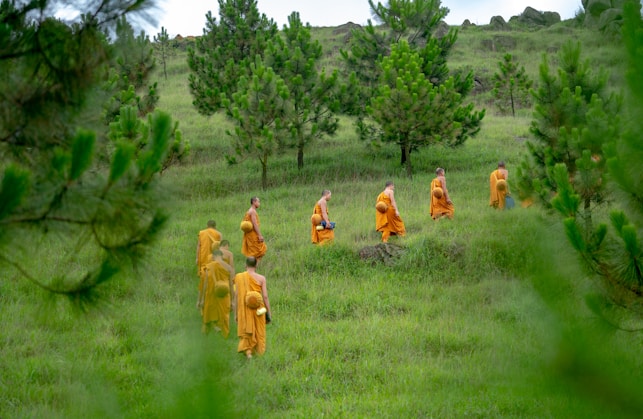 Bouddhisme, méditation, bouddha, dhamma, moines
