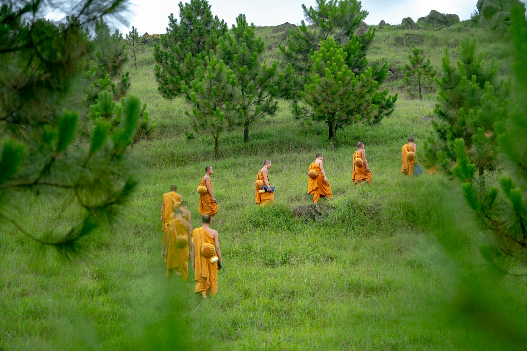 a line of monks in orange robes walking up a grassy hillside