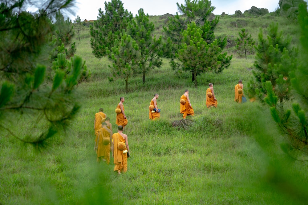 monks walking on field